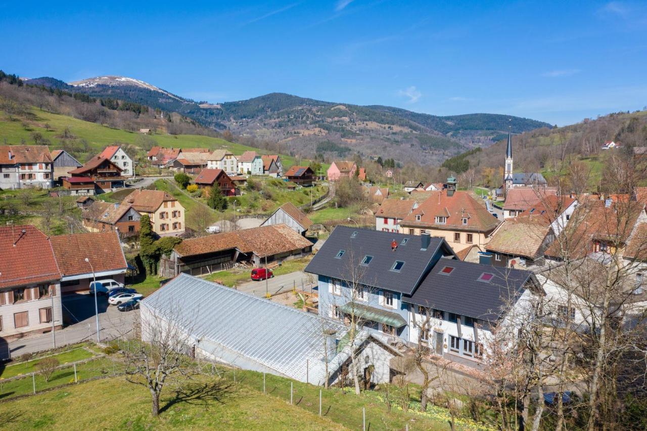 Locations Des 3 Sommets Avec Sauna Et Spa En Alsace Sondernach Eksteriør billede