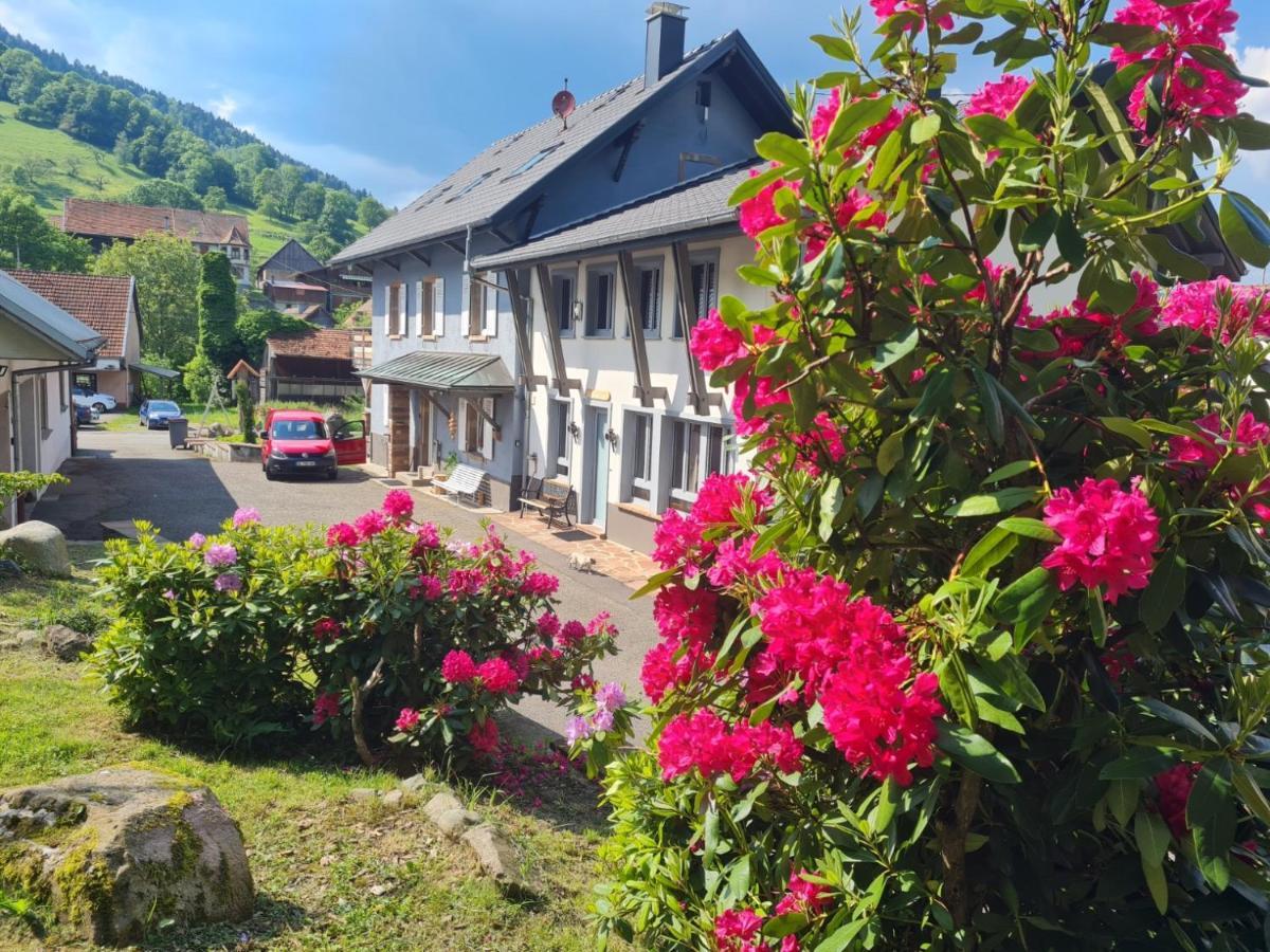 Locations Des 3 Sommets Avec Sauna Et Spa En Alsace Sondernach Eksteriør billede
