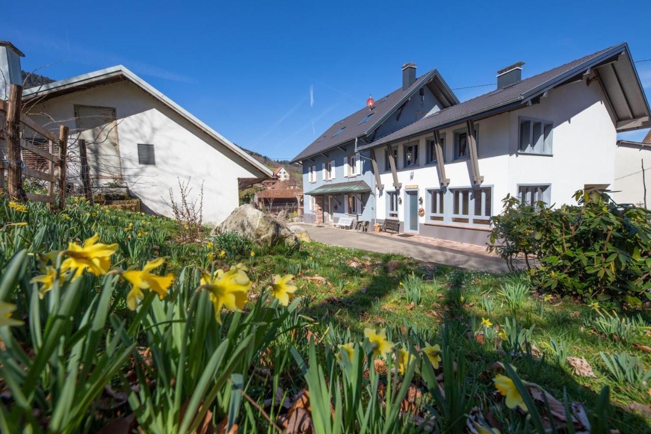 Locations Des 3 Sommets Avec Sauna Et Spa En Alsace Sondernach Eksteriør billede