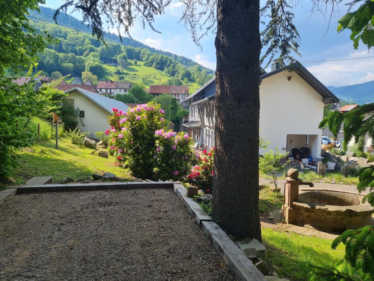 Locations Des 3 Sommets Avec Sauna Et Spa En Alsace Sondernach Eksteriør billede