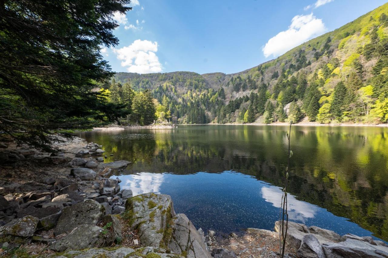 Locations Des 3 Sommets Avec Sauna Et Spa En Alsace Sondernach Eksteriør billede
