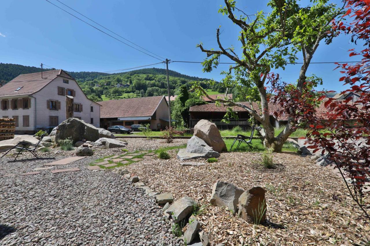 Locations Des 3 Sommets Avec Sauna Et Spa En Alsace Sondernach Eksteriør billede